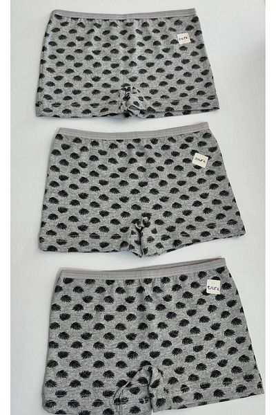 ÇEÇEN HOME (3 Pcs) Printed Boys Short Shorts, Boys Boxers