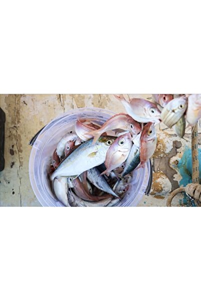 Skygo Misina 300m Polietilen Microfiber 2.0 Ip Misina Yeşil