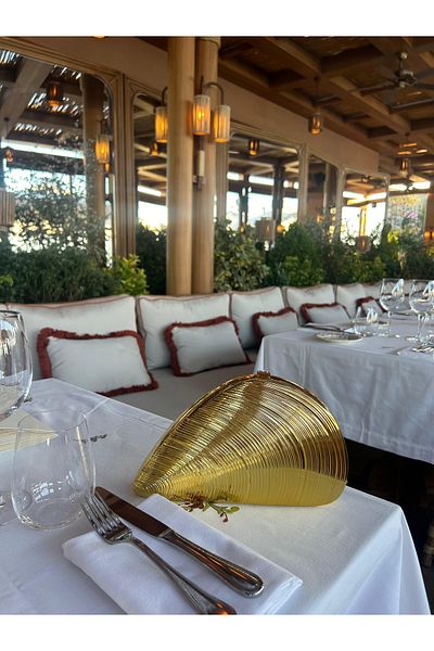 Merve Bayraktar Gold Mussel Bag Beauty