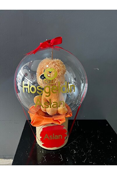 GözdeParti Yenidoğan Erkek Bebek Peluş Aslan Oyuncaklı Balon Kutusu – Şeffaf ...
