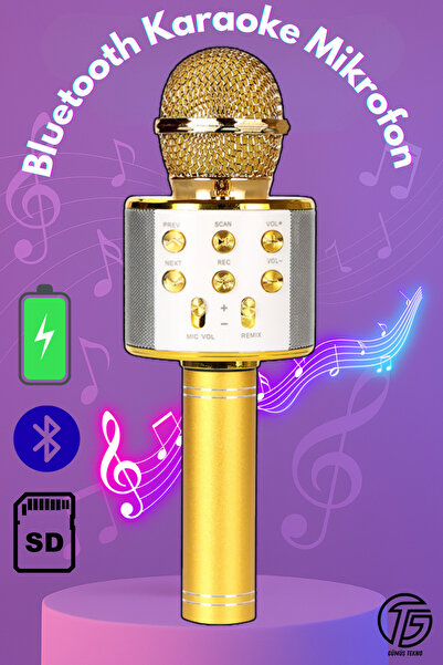 GÜMÜŞTEKNO Bluetooth Kablosuz Karaoke Mikrofon Çocuklar İçin Taşınabilir Hoparlörlü Mikrofon Oyuncağı Şarjlı