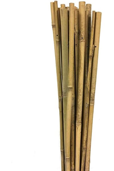 BRF 33DTicaretDY Gardener 63713 Bambu Destek Çubuğu 10'Lu - 10-12 Mm X 120 Cm...