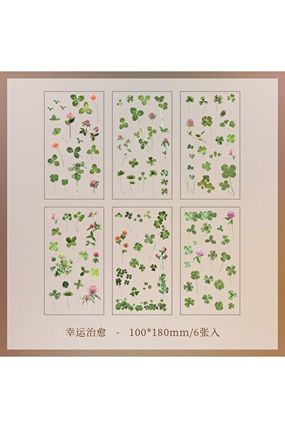 Choice1 8 ملصقات شفافة من مادة PET من JIANQI، 6 قطع/عبوة، مواد سكرابوكينغ، اص...