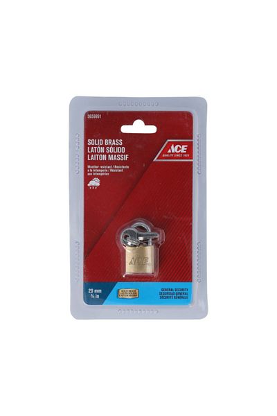 ACE General Security Padlock