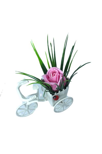 dalimag Aranjament floral, bicicletă albă, trandafir roz, parfumat, buburuză,