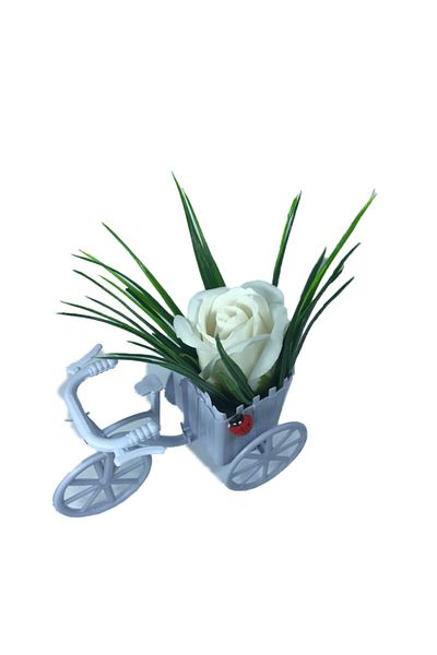 dalimag Aranjament floral, bicicletă mov, trandafir alb parfumat, buburuză,