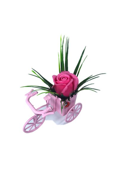 dalimag Aranjament Floral, Bicicletă Roz, Trandafir Roz Închis, Parfumat, Buburuză