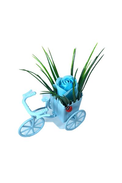 dalimag Aranjament Floral, Bicicleta Albastra, Trandafir Albastru-Deschis, Parfumat, Buburuza