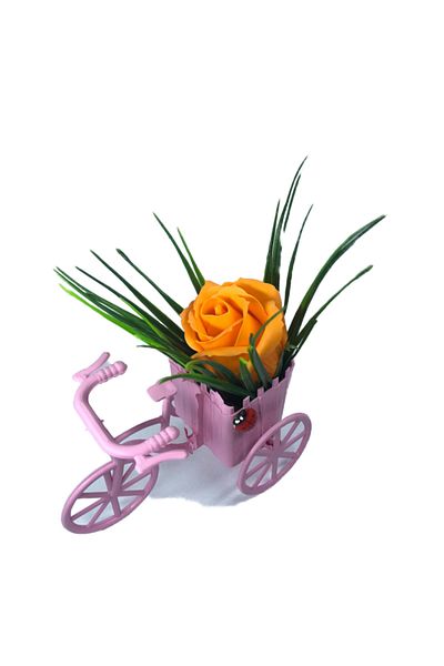 dalimag Aranjament Floral, Bicicleta Roz, Trandafir Portocaliu, Parfumat, Buburuza