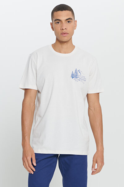 AC&Co / Altınyıldız Classics Men's Light Gray Standard Fit Regular Fit 100% Cotton Crew Neck T-Shirt