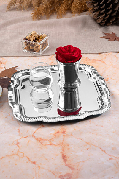 NEWTREND Züccaciye 1 Piece Luxury Edge Line Patterned Silver Daisy Model Stainless Steel Serving, Tea, Coffee Presentation Tray