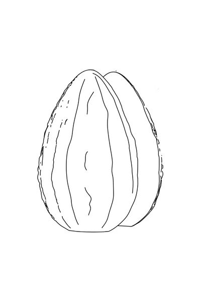Pavoni Forma din plastic, fruct de cacao pentru ciocolata, Ø140×205mm, 349 g