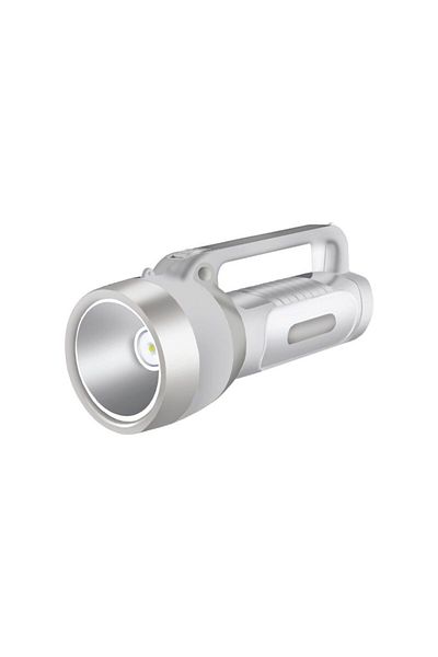 Braytron Lantern with 1 LED 1W 6500K TR010