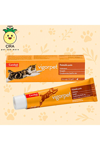 candioli Vigorpet Cat Pasta 50 g – Kedi İçin Çoklu Vitamin ve Amino Asit Takv...