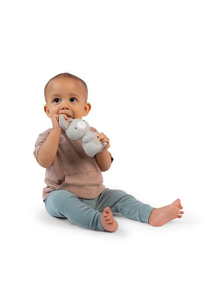 Ingenuity Sylvi Natural Rubber Teether, 0 - 36 months