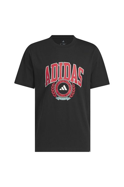 adidas Men's T-shirt M VSTY CREST T - JV8443