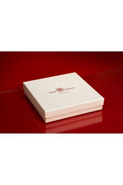 saratremo Premium Box for Small Sets