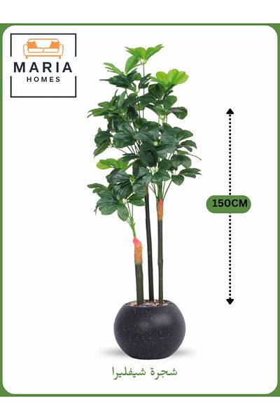 MARIA HOMES Artificial Schefflera Tree 150 cm – Decorative Indoor Plant Black with silver Pot