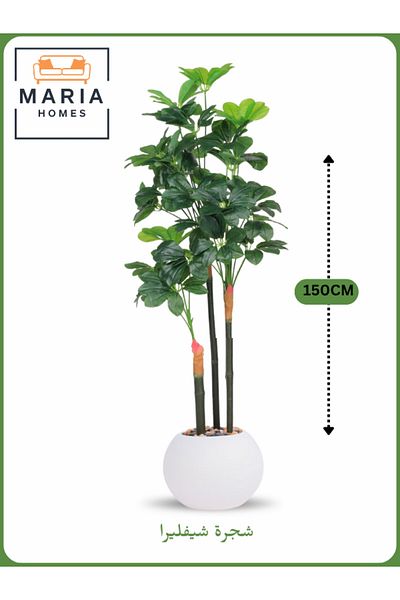 MARIA HOMES Artificial Schefflera Tree 150 cm – Decorative Indoor Plant with White Pot