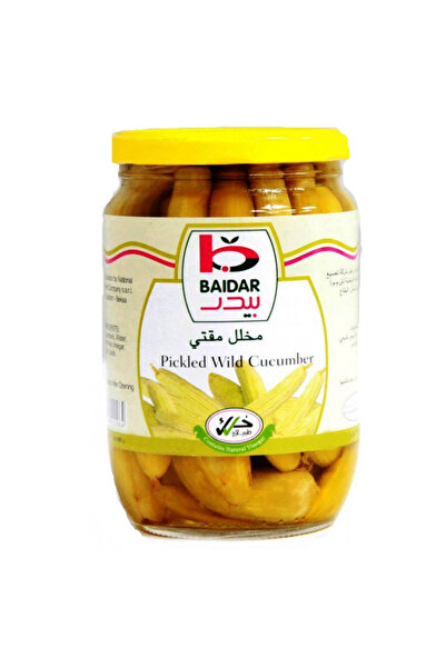Baidar خيار بري مخلل، 660 غرام