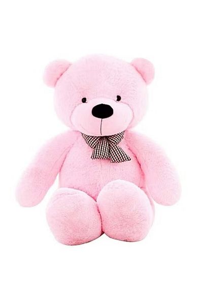 rexa Cute And Elegant Soft Teddy Bear 160cm