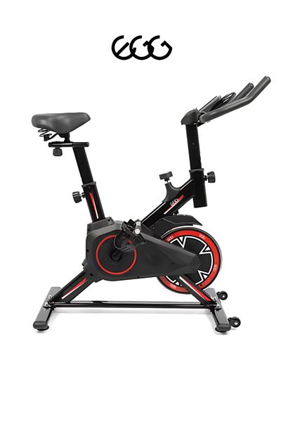EGG Luxury home spinning bike with LCD, adjustable seat/armrest, phone holder & silent ride.
