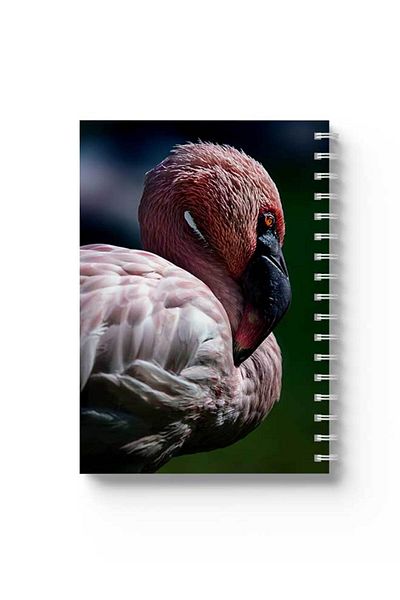 LOWHA Spiral Notebook with Front and Back Hard Covers Featuring Flamingo Design