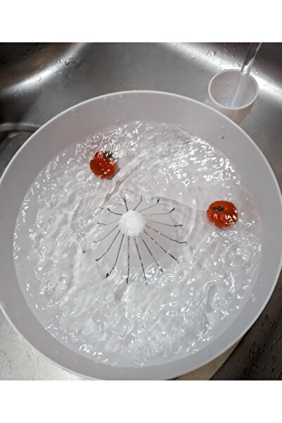 shop Otomatik Meyve Sebze Yıkayıcı (Büyük Boy)