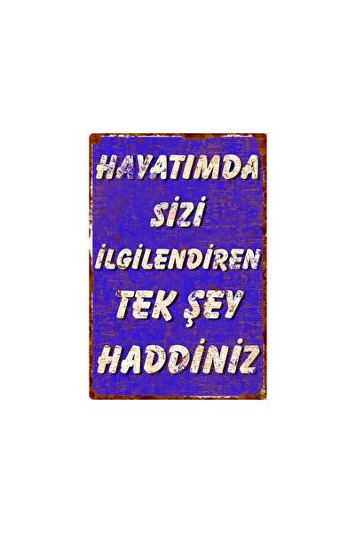 Hayg Equipment 'Hayatımda Sizi İlgilendiren Tek Şey Haddiniz' Yazılı Espirili...