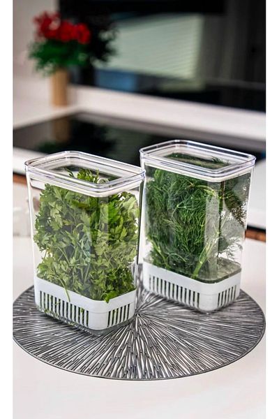 CEZVE HOME 1 Greenery Storage Container |   Vegetable Storage & Refrigerator Freshener Organizer Box 2900 ml