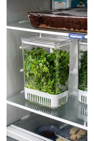 CEZVE HOME 1 Greenery Storage Container |   Vegetable Storage & Refrigerator Freshener Organizer Box 2900 ml