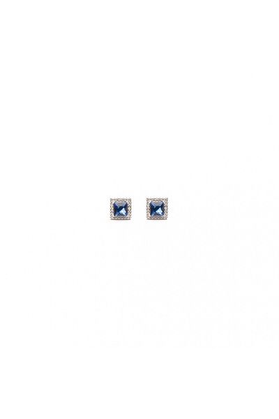 ElectraStore Silver Sapphire Earrings