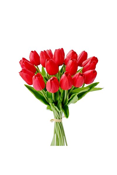 ROSELLA BARUCCI UNDERWEAR Yapay 10'lu Islak Lale Buketi Gerçeksi Doku Beyaz