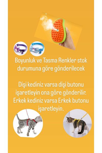 CNSZ Cat Steam Comb Set