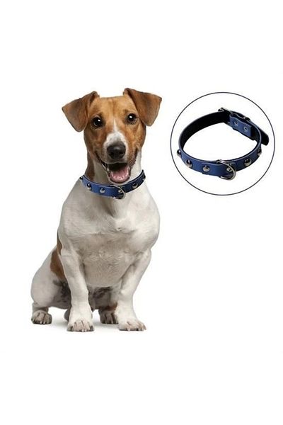 PRATİKOBA Bfs Soft Textured Leather Dog Walking Collar (Large)