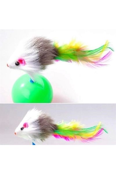 PRATİKOBA Bfs Cat Play Ball with Feather Mouse Pilgrim Yatmaz Educational Kitten Mouse Chasing Toy