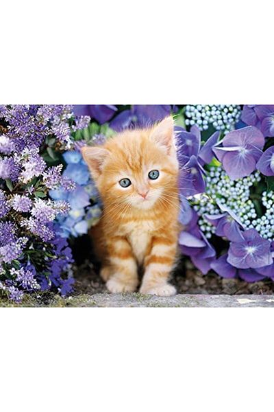 STOREMAX Ntwork - 500 Piece Hq Collection Adult Puzzle - Ginger Cat in Flowers Art 1087243