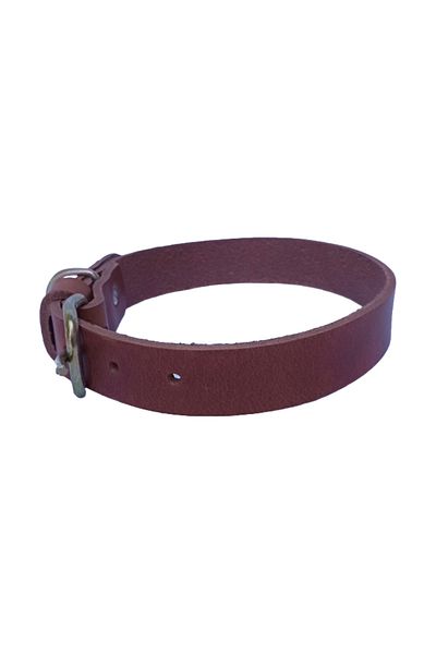 OEM Zgardă pentru câini, piele maro-scorțișoară 60 x 2,5 cm, reglabilă 39-49 cm