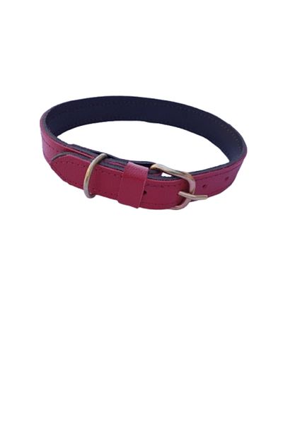 OEM Zgardă dublă, roșu granat, 2,5 cm, din piele naturală, pentru câini, diametru 37-48 cm