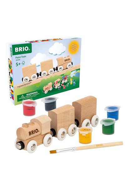 BRIO Painted train