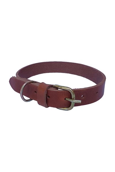 OEM Zgardă pentru câini, piele maro-scorțișoară 60 x 2,5 cm, reglabilă 39-49 cm