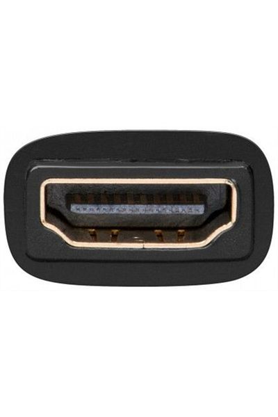goobay | A 333 G | Adaptor video | DVI digital cu 24+1 pini | Masculă | HDMI cu 19 pini tip A | Mamă