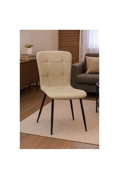 ARTA DOOR Set of 2 Luca Eco-Leather Chairs