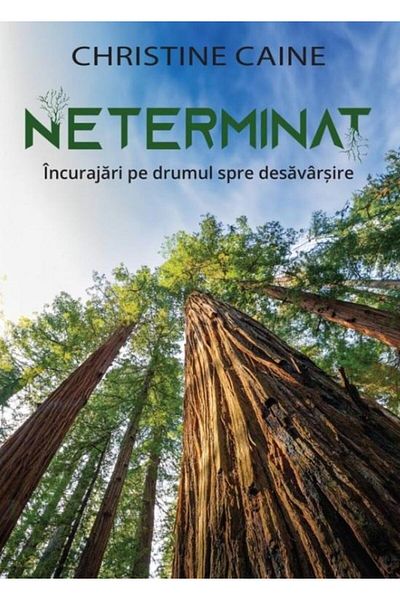 Editura Scriptum Unfinished. Encouragement on the path to perfection,