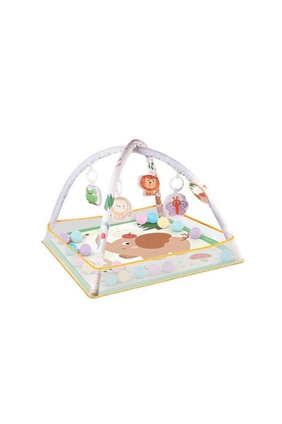 rexa baby play gym or activity mat.