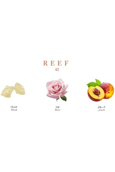 Reef Unisex Eau de Parfum by Reef, 100 ml, #42