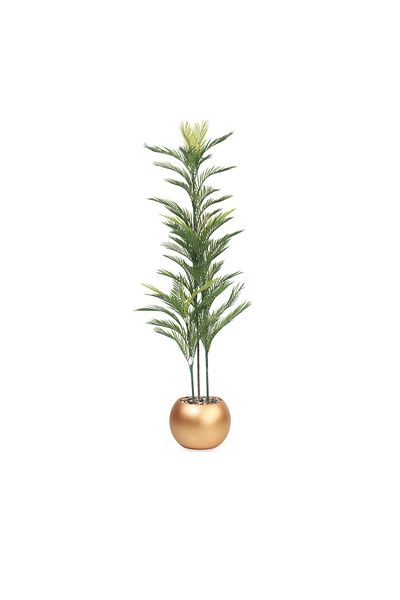 DEC31 Areca tree 3 branches golden corner