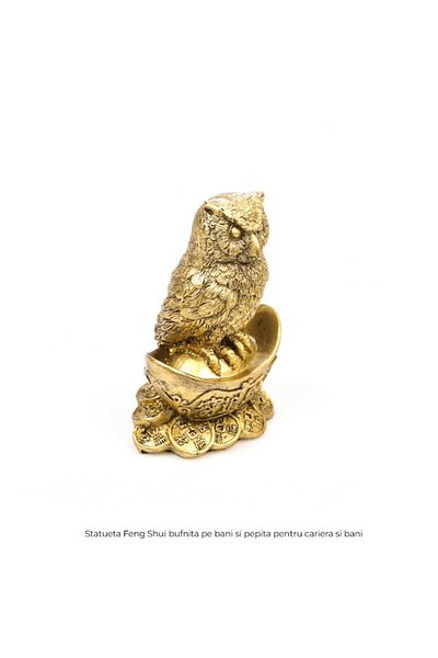 BLA BLA FOAM Statueta Feng Shui bufnita pe bani si pepita pentru cariera si bani 9,5 cm
