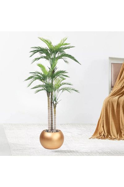 DEC31 Large Areca Tree, 3 Branches, Golden Corner