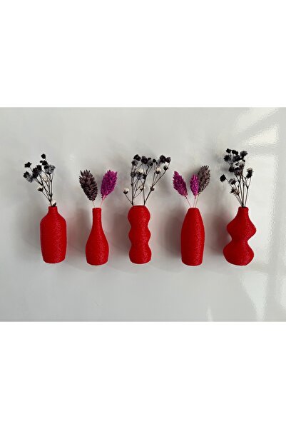 SERÜVENTR Miniflora - 5'li Magnetli Mini Vazo - Kırmızı